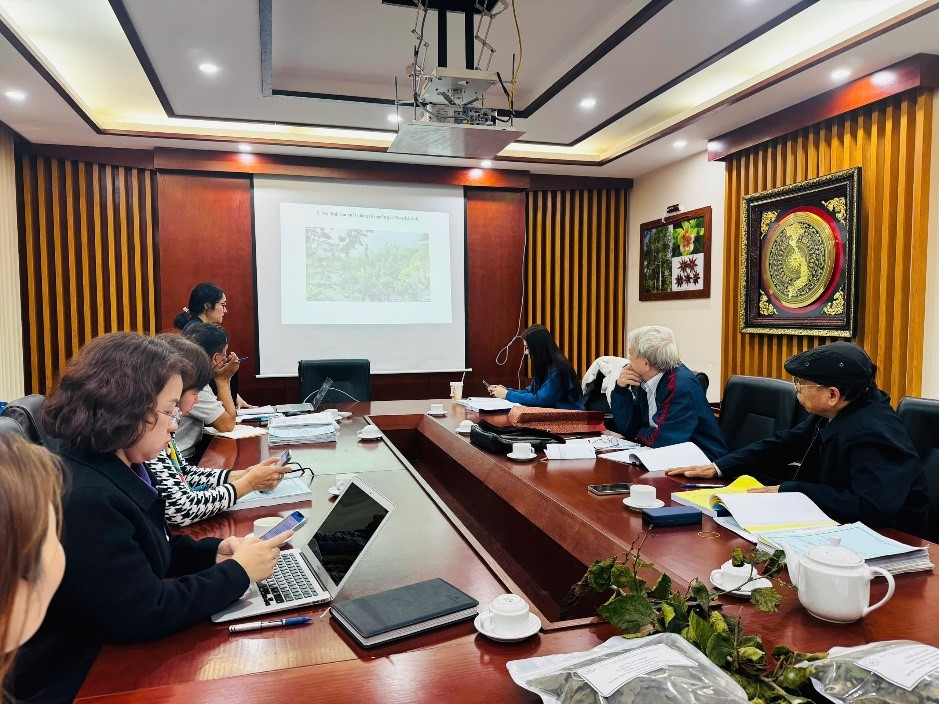 Không có ảnh